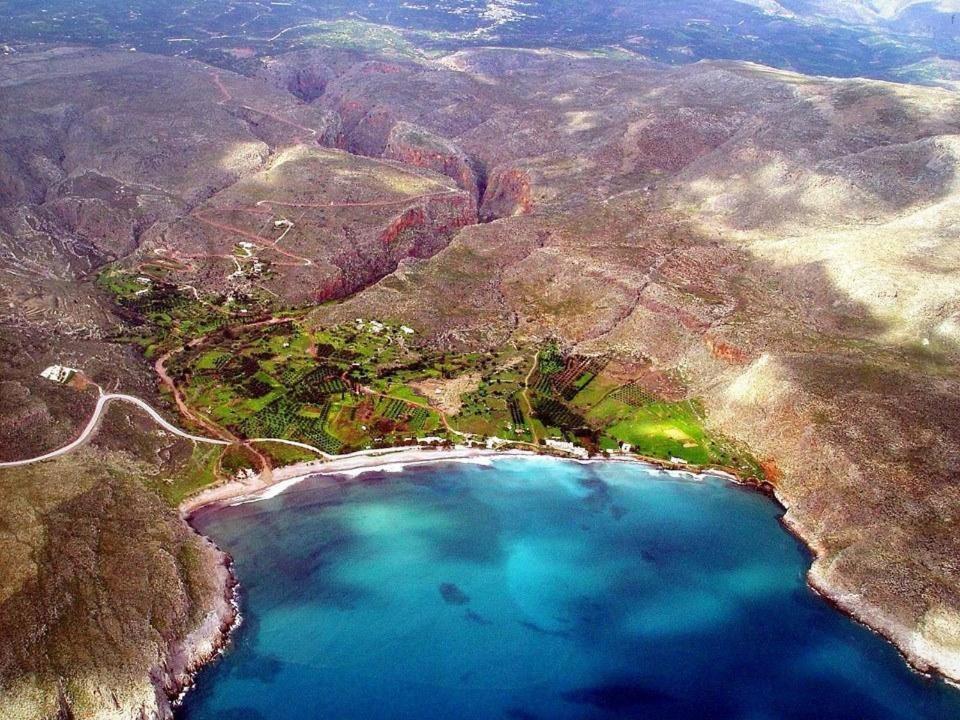 Alkioni Sea View 公寓 Káto Zákros