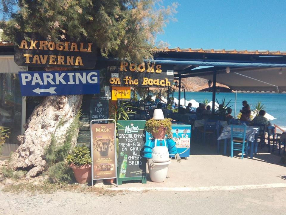 Alkioni Sea View 公寓 Káto Zákros