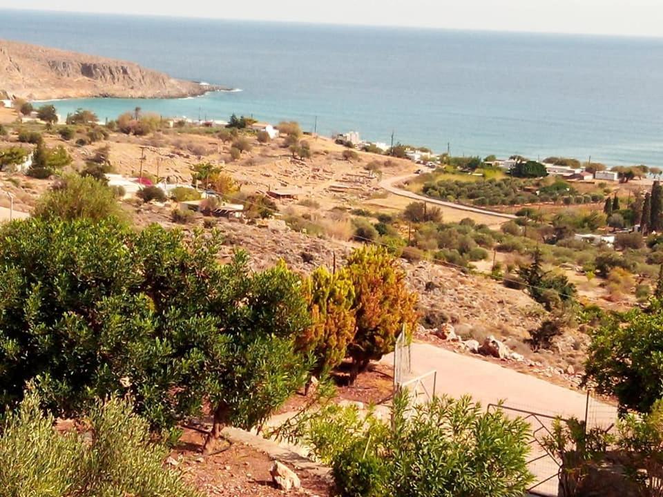 Alkioni Sea View * Káto Zákros
