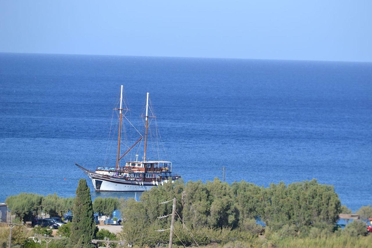 公寓 Alkioni Sea View Káto Zákros