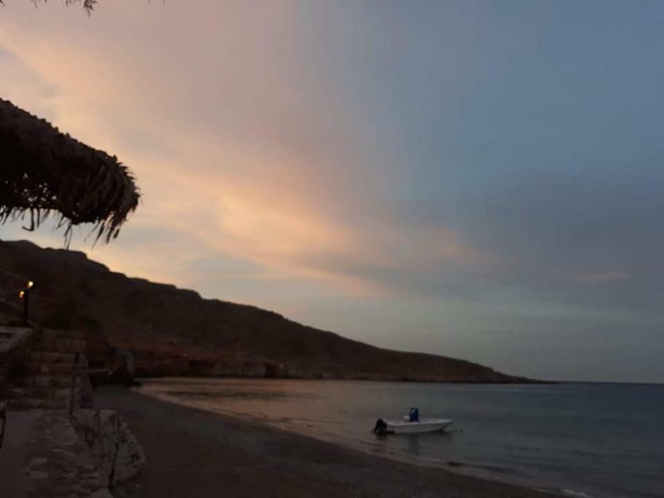 公寓 Alkioni Sea View Káto Zákros